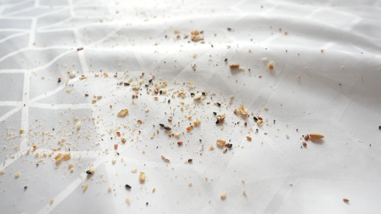 식탁 위의 어리