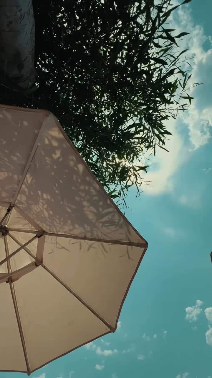 Beach umbrella under a sunny sky