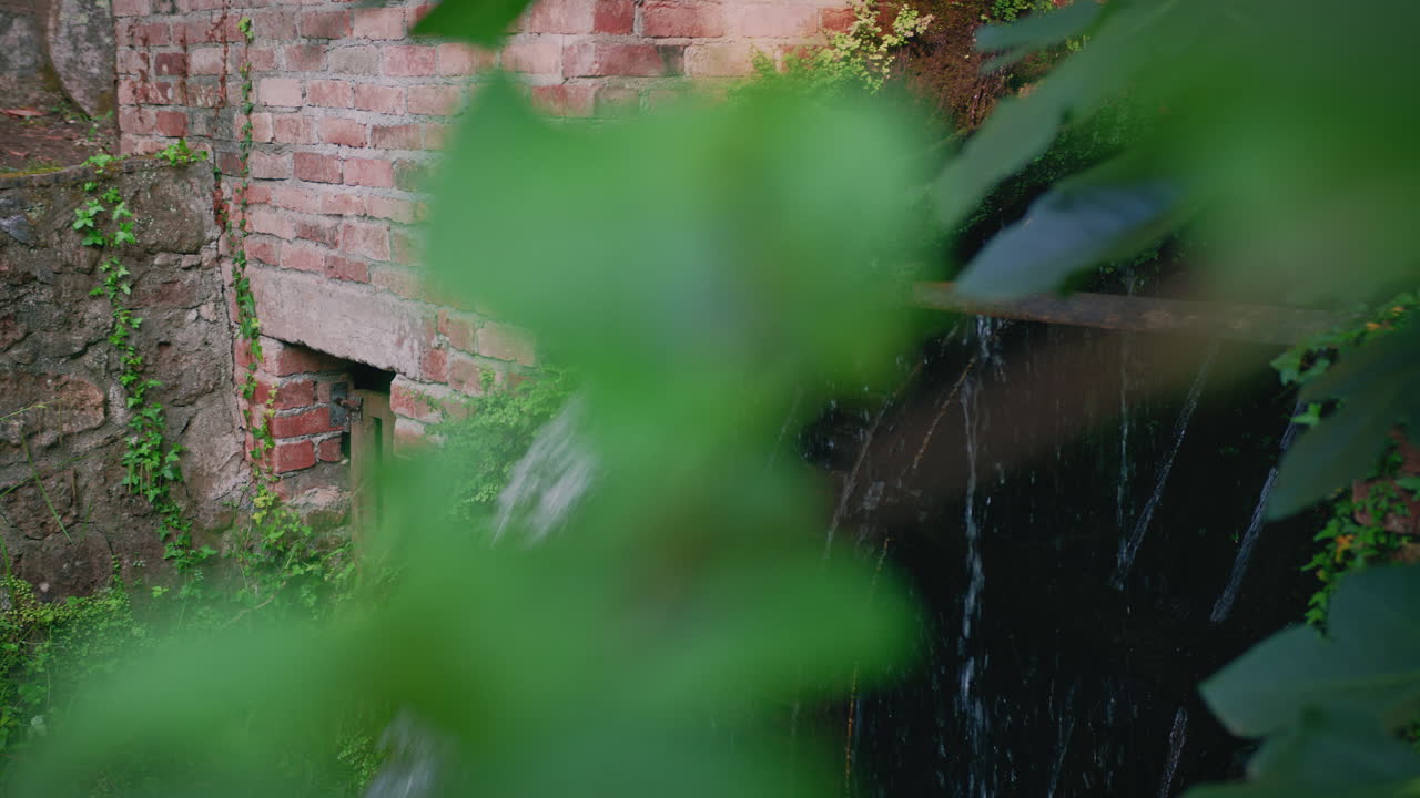 숲의 중간 바 ⁇ 에 있는 시골의 물 밀은 잎을  ⁇ 지만