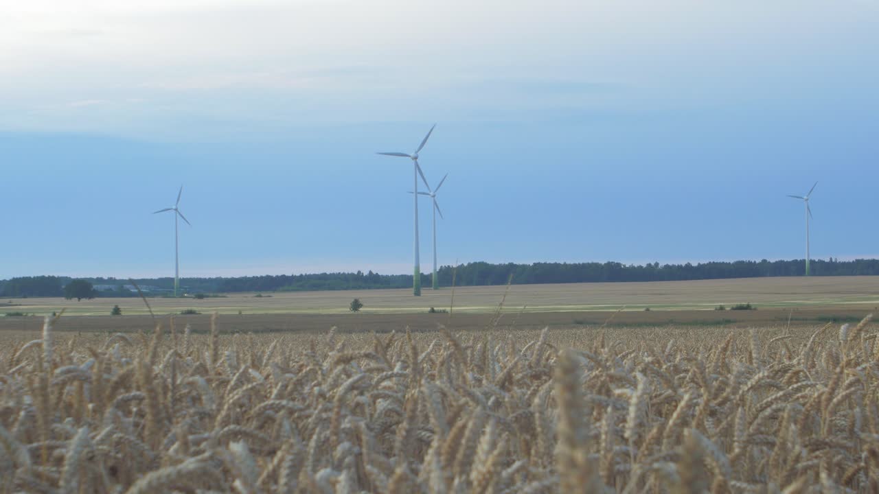 아름다운 일몰에 녹색 생태 세계를 위한 재생 에너지를 생산하는 풍력 터빈 농장