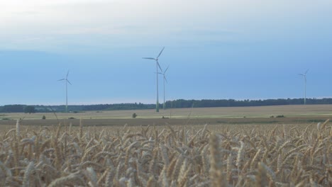 wind turbine farm producing renewable energy for green ecological world at beautiful sunset, defocused ripe golden wheat field in the foreground, wide shot
