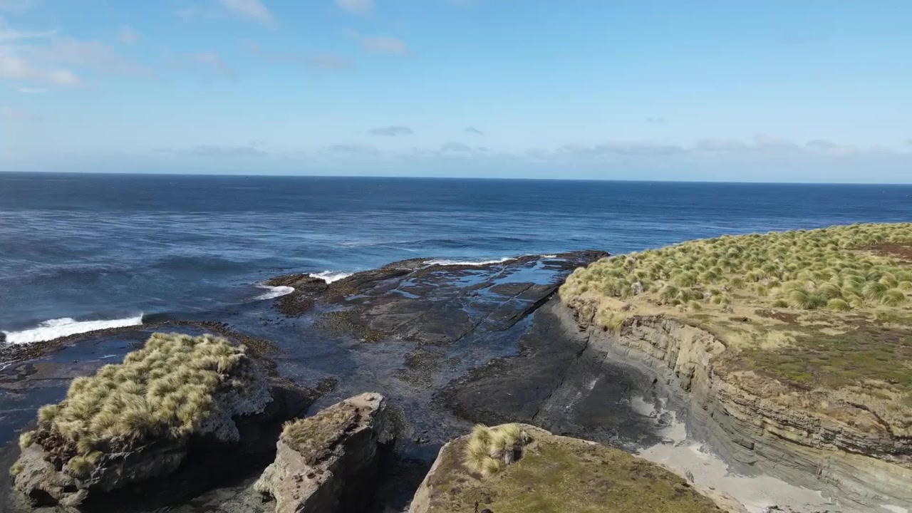 Tříštící se oceánské vlny se setkávají s travnatými útesy a drsnými skalami podél úchvatného pobřeží Falklandských ostrovů