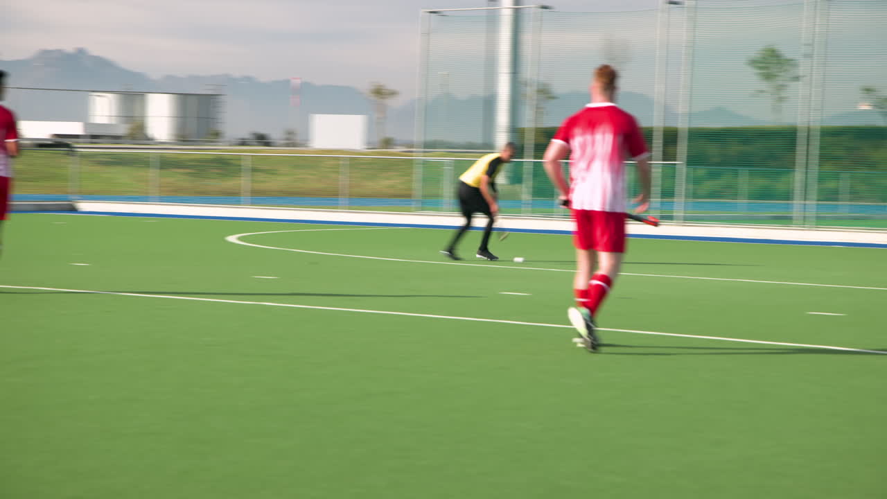 Playing field hockey, male players competing in outdoor match on green turf