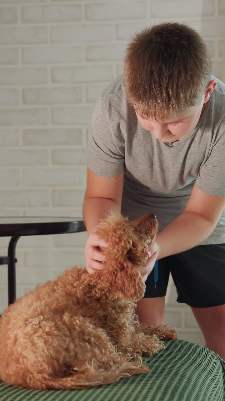 Young boy shows kindness, Child demonstrates affection through warm actions toward friendly canine companion, Young child expresses love and care by comforting and embracing cheerful dog
