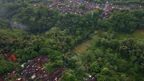 countryside dwellings surrounded by tropical forest tree near mountain batur in bali, indonesia