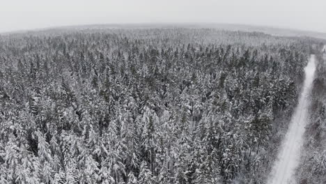 Drone-Panorámico-Sobre-árboles-Cubiertos-De-Nieve-En-El-Bosque