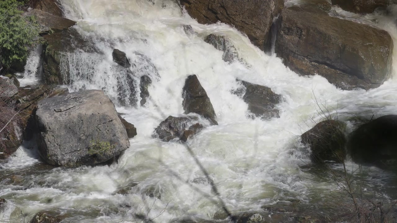 Le cascate inferiori di Inglis Falls scorrono su rocce muschiose circondate da una foresta di inizio primavera. L'acqua impetuosa si snoda attraverso il letto roccioso del fiume sotto la piena luce del giorno