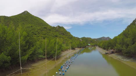 paisaje del canal de manglares en el parque nacional khao sam roi yot, tailandia