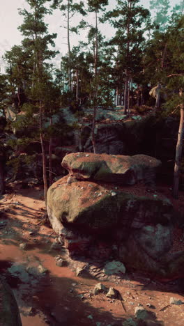 gran roca en el bosque
