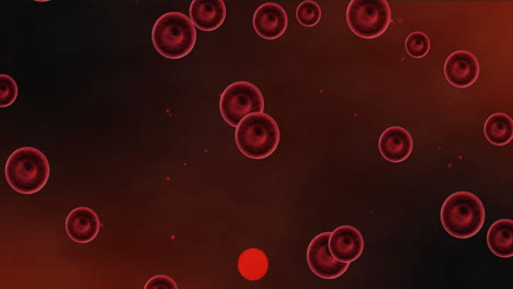 animation of blood cells on red background