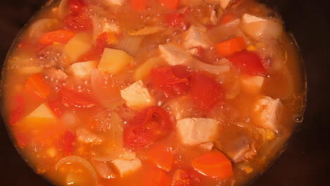 hearty tomato soup with chicken and vegetables
