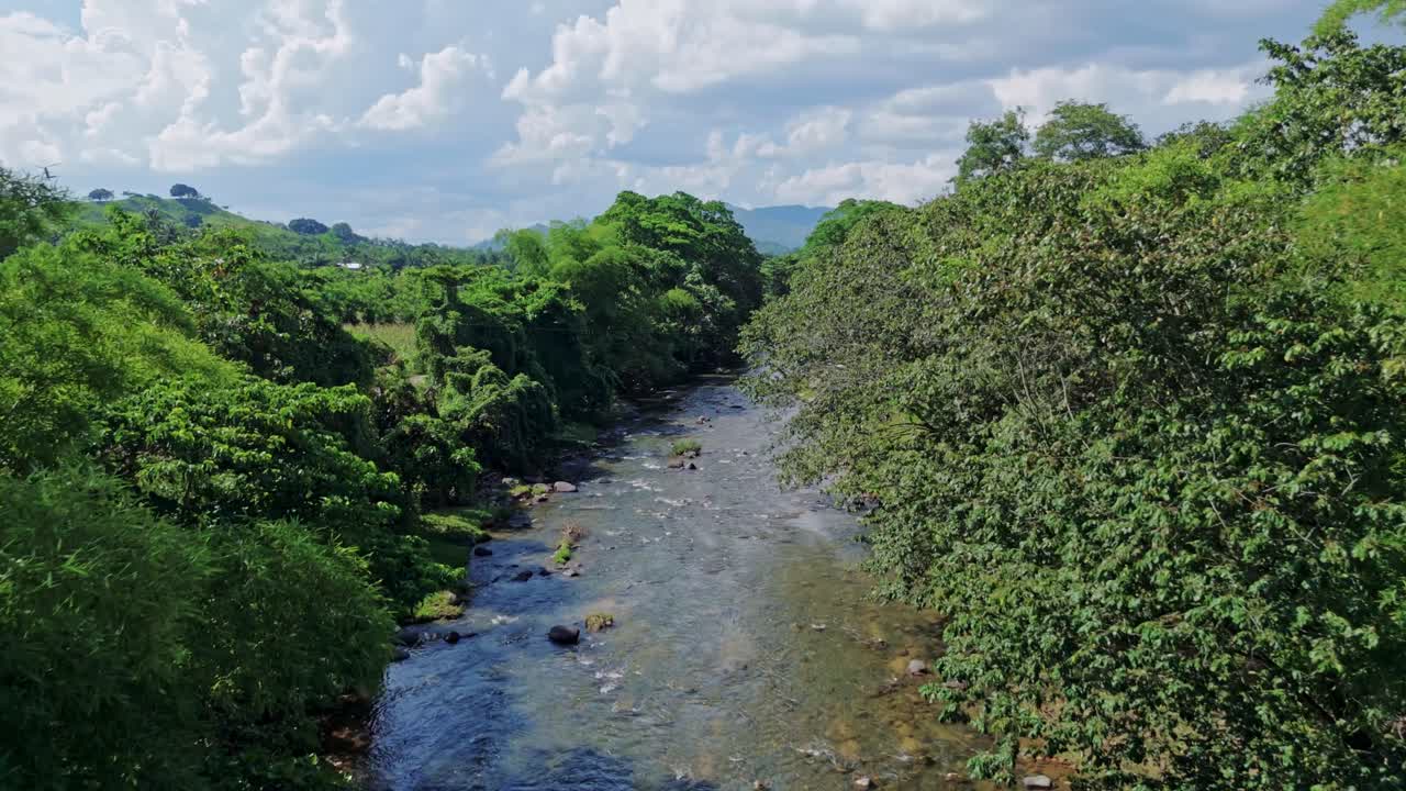 Drone flies above Rio Maimon, clear waters flowing through dense green tropical forest, sunny day, wild nature, Dominican Republic. Aerial forward ascending