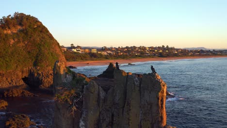 View-Of-Perching-Cormorants-On-Cathedral-Rocks-With-Waterfront-Township-At-Background-In-Kiama-Downs,-NSW-Australia