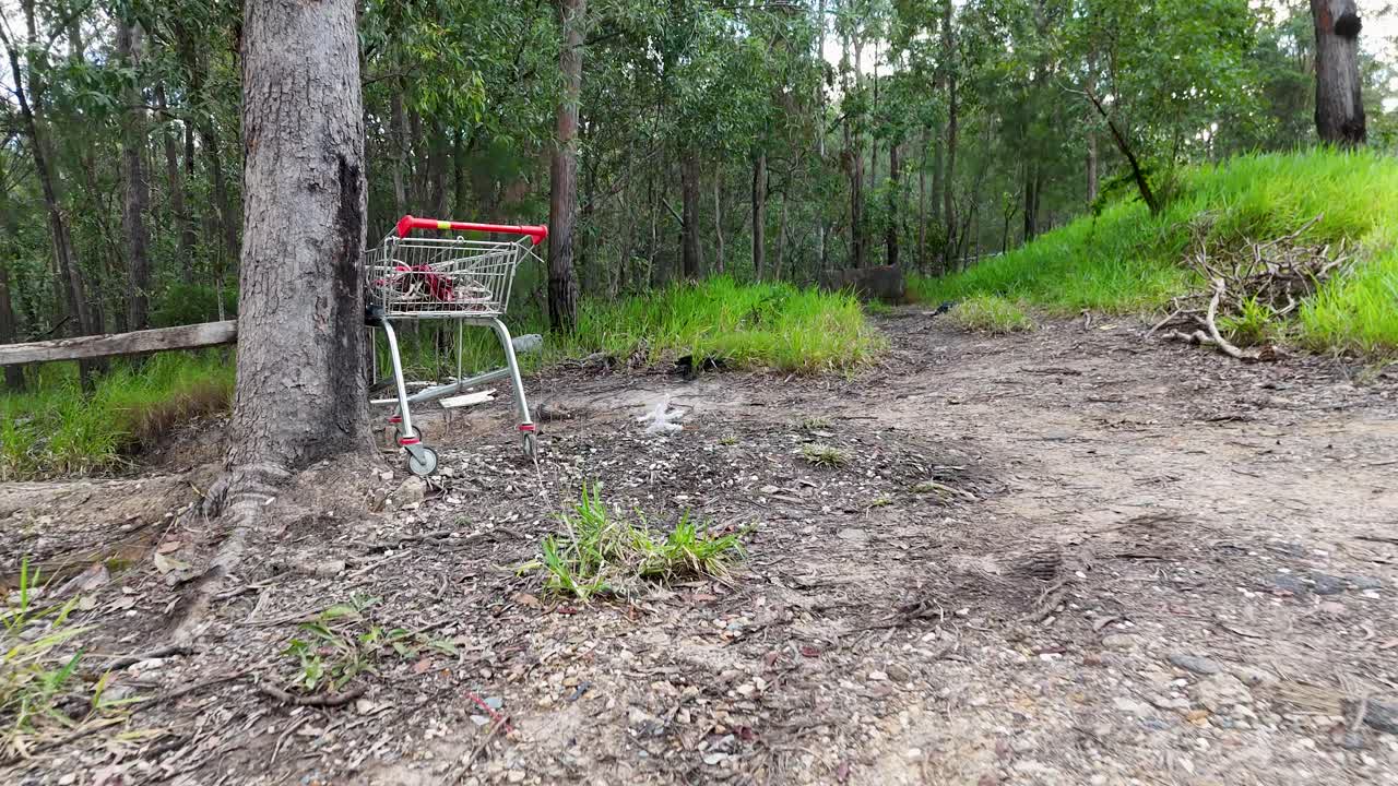 A shopping cart stands abandoned in a forested area, highlighting environmental neglect. Natural lighting and static camera capture the serene yet polluted scene