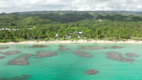 aerial view of tropical beach