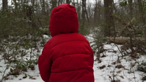 un niño caminando solo en el bosque de invierno