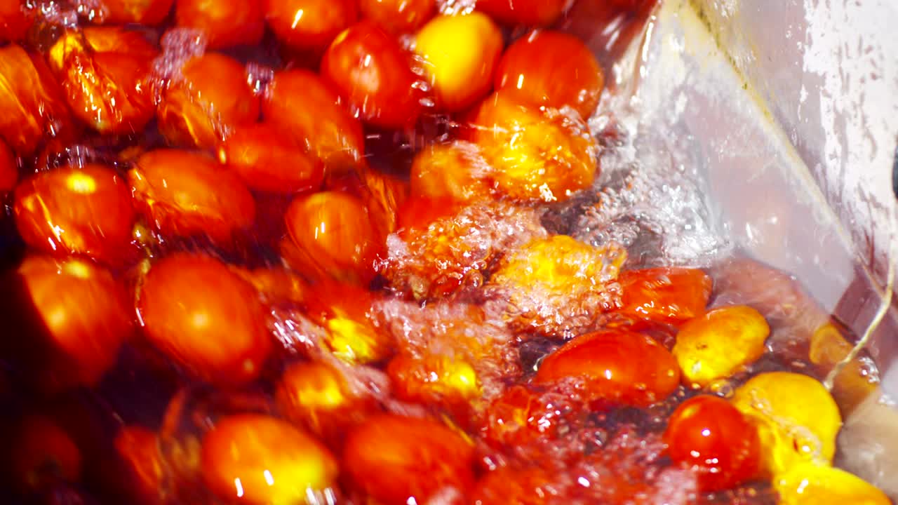 토마토 산업에서 은 토마토는 물로 가득 찬 크로 들어가서 과 꺼기에서 겨서 깨하게 나옵니다.