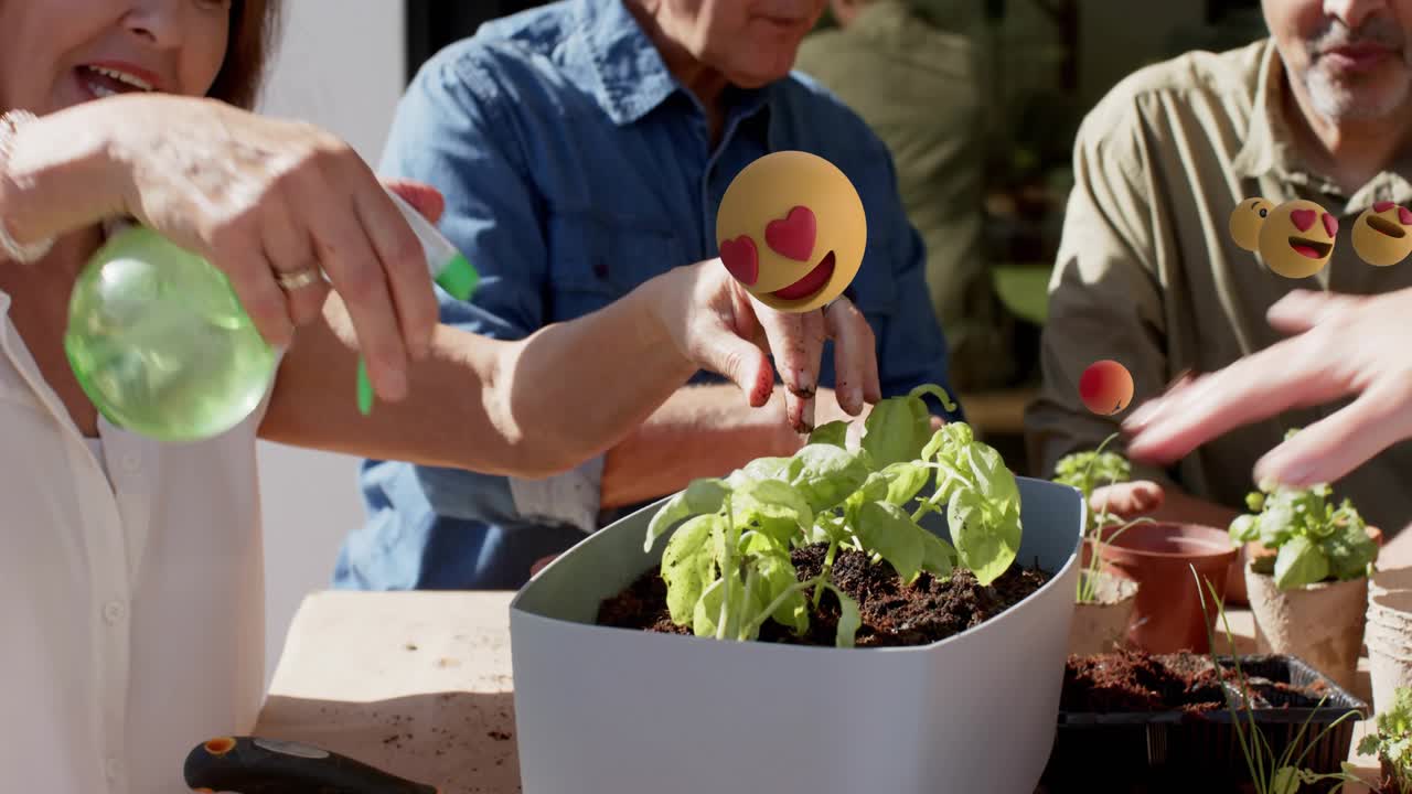 Group removing seedling planting herb in planter for garden spraying while emoji obscuring hands