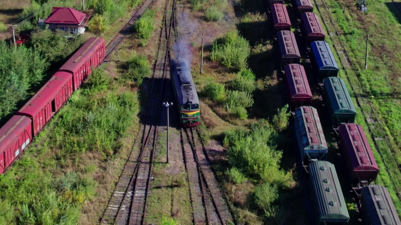 Un treno si muove attraverso un deposito ferroviario incolto con vagoni merci