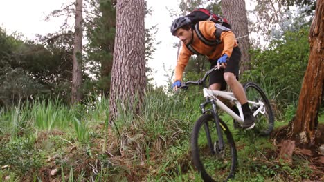 Male-mountain-biker-riding-in-the-forest