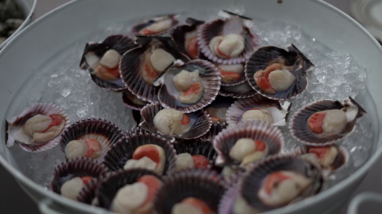 Close-up shot of fresh oysters arranged on a bed of ice. The oysters glisten under soft lighting, capturing the texture and freshness of gourmet seafood.
