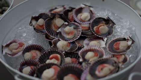 close-up shot of fresh oysters arranged on a bed of ice. the oysters glisten under soft lighting, capturing the texture and freshness of gourmet seafood.