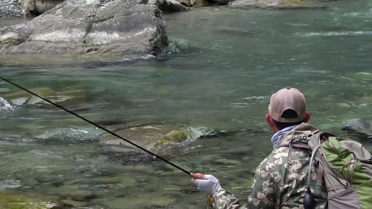 pesca con mosca de trucha en el río de montaña en verano