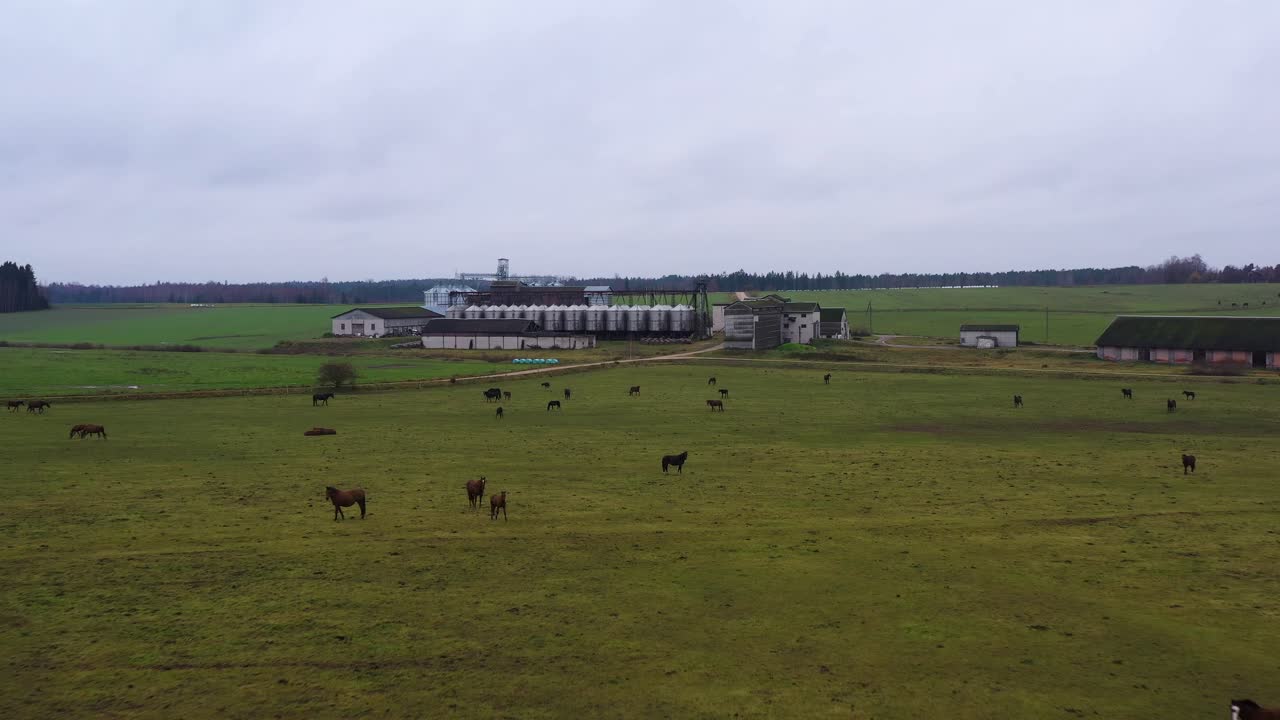 día nublado sombrío en el campo con caballos y granja, vista aérea