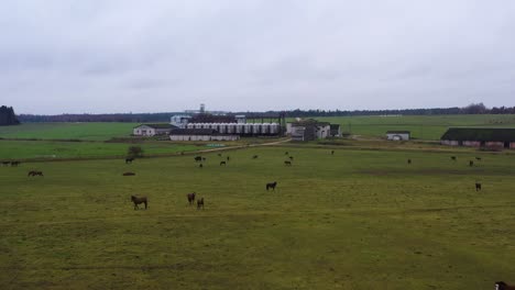 gloomy overcast day in countryside with horses and farm, aerial view