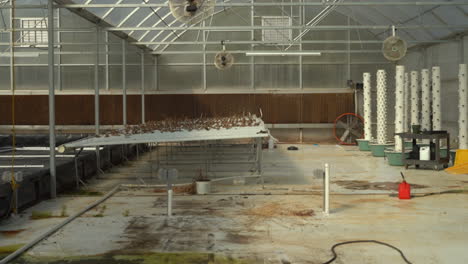 abandoned and dead commercial greenhouse with a lifeless hydroponic nft table