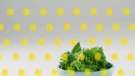 yellow sun shapes animation over bowl of fresh green leafy vegetables