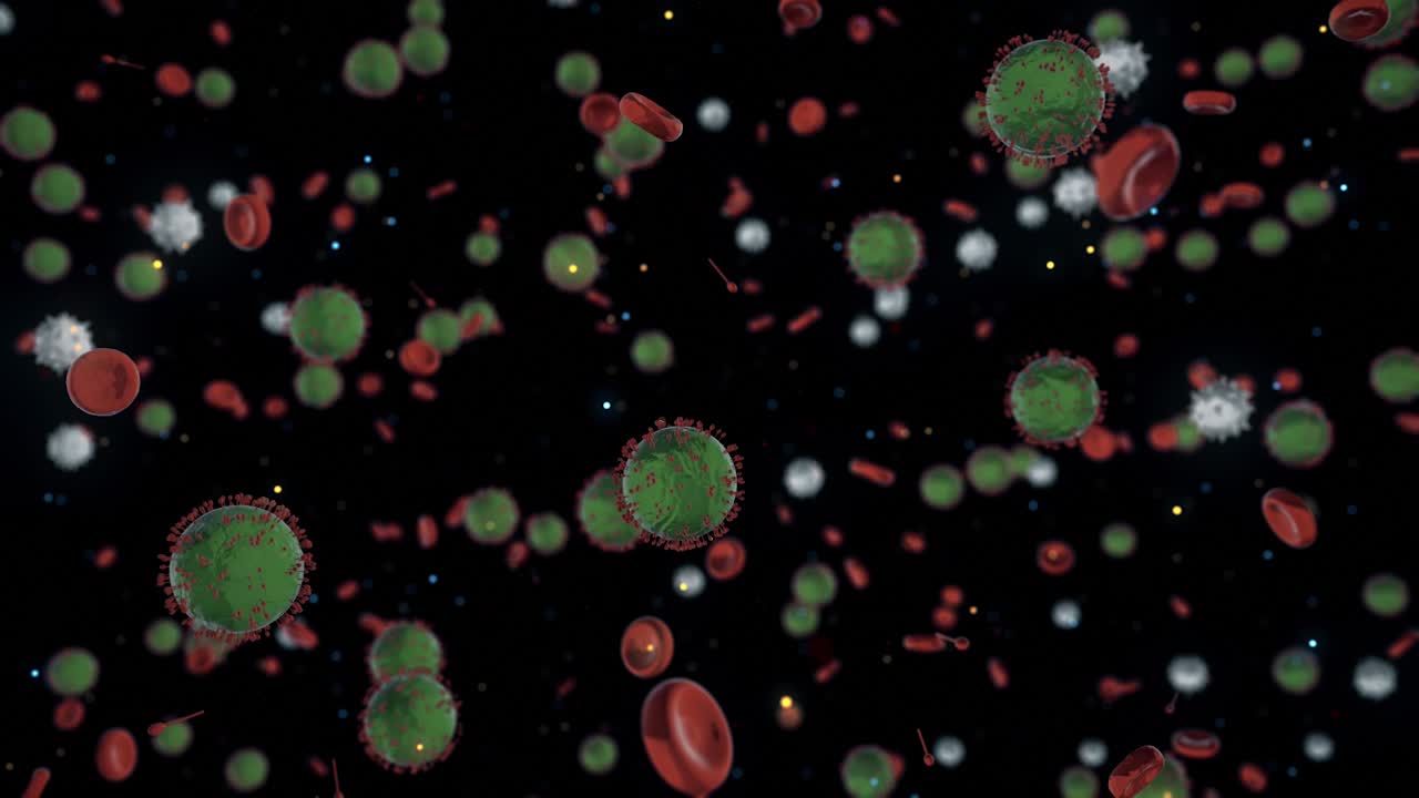 바이러스와 혈액 세포