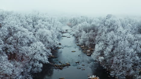 forest river in winter. aerial view of snow covered winter forest and river