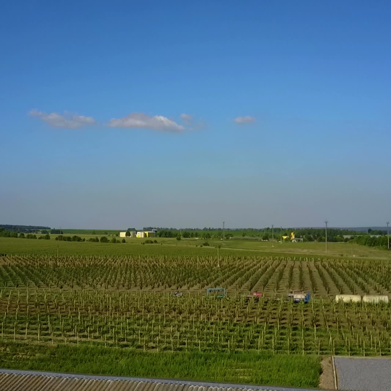 vista aérea de un hermoso jardín