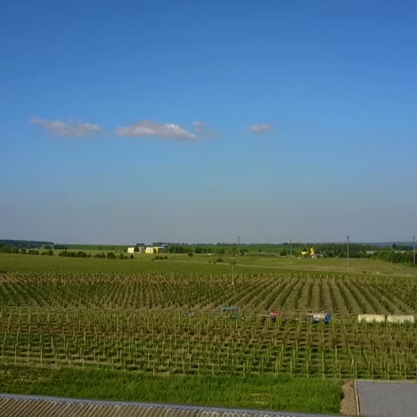 aerial view of beautiful garden