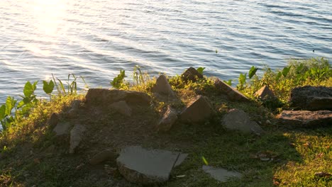 tomas del lago al atardecer junto al lago lsu