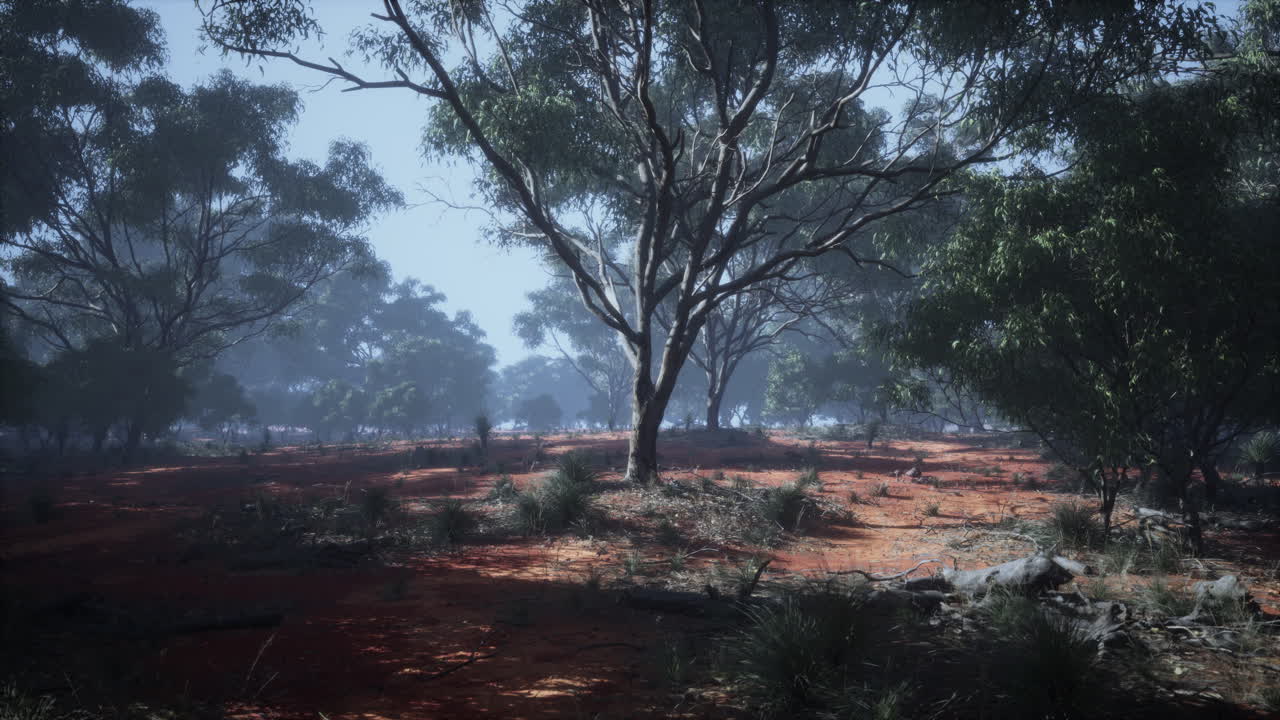 나무 와 관목 이 있는 해안 식물