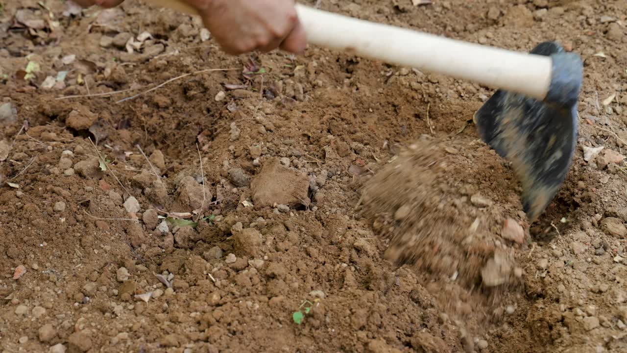 traditional farming tool hoe in loose ploughed soil at farmland outdoor