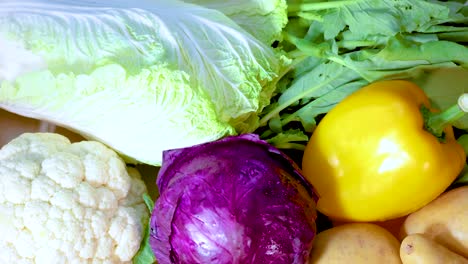 assorted vegetables displayed in a vibrant layout