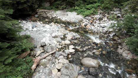 Exuberantes-árboles-De-Hoja-Perenne-Se-Alinean-Mientras-El-Agua-Cae-En-Cascada-Por-Un-Arroyo-De-Montaña-Cubierto-De-Rocas,-Ariel-Pull