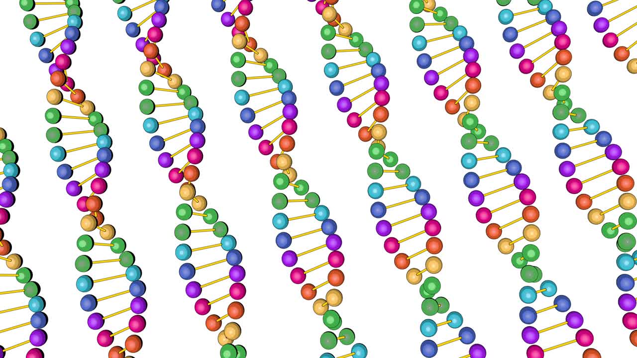 백색 바탕에 분리된 dna 분석의 컬러 시각화, 3d 회전 애니메이션, 몬태지 및 의료 훈련