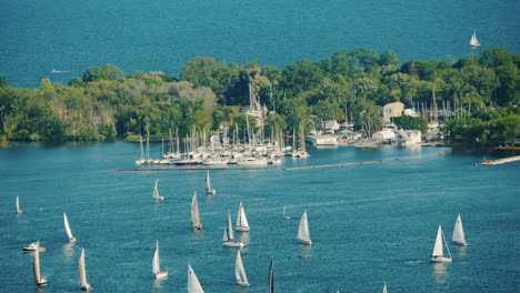 view of the central island in front of the city of toronto green trees and many sailing yachts near