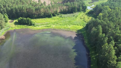 „Europas-Im-Morgengrauen-Erleuchteter-See,-Eine-Drohne-Im-Flug-Fängt-Eine-Ruhige-Lagune,-Einen-üppigen-Wald-Und-Eine-Elegante-Brücke-Ein-–-Eine-Faszinierende-Vogelperspektive-Mit-Einem-Faszinierenden-Blick-Aus-Der-Luft