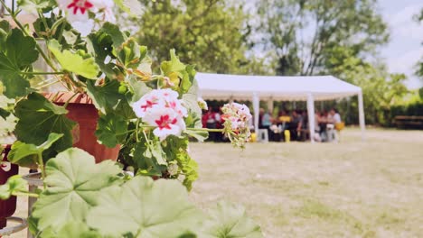 Nicht-Erkennbare-Menschen-Sitzen-Unter-Feld-Festzelt-Zelt-Schatten-Bulgarischen-Sommerfest