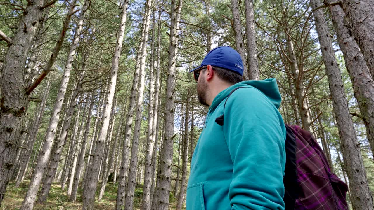 낮은  ⁇  남성 하이커 여름  ⁇ 은 날을 바라보고 높은 숲 나무 휴식을 찾고