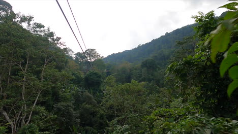 Tirolesa-Entre-Las-Copas-De-Los-árboles-En-Tailandia