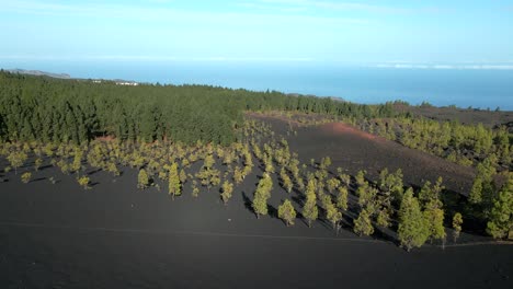 Aerial-Pan-Across-Bare-Dirt-Land-with-a-few-Green-Trees,-In-the-Mountains-of-Spain,-Tenerife