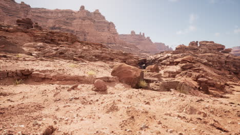 red desert canyon landscape
