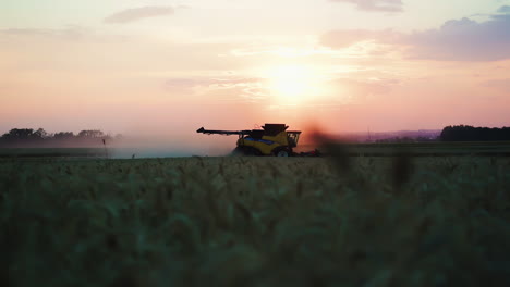 Combine-harvester-at-work-in-wheat-field-backlit-by-vivid-sunset,-low-angle