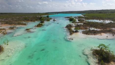 person swimming in tropical lagoon water, los rapidos de bacalar mexico, aerial